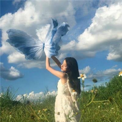 2026热映片单第012期